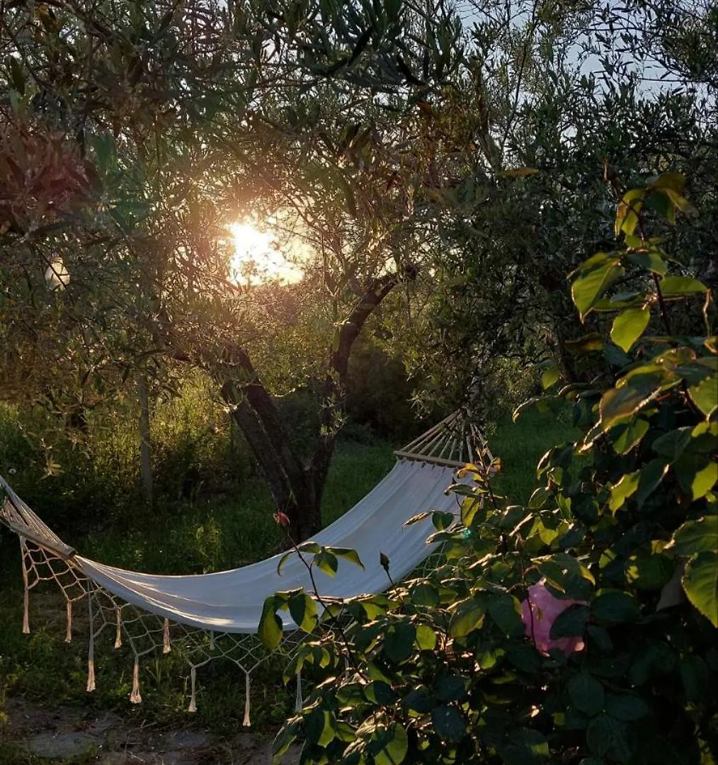 Essential Escape II Villa Psakoudia
